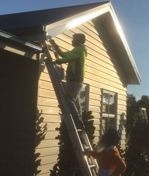 professional painting services Mt Martha